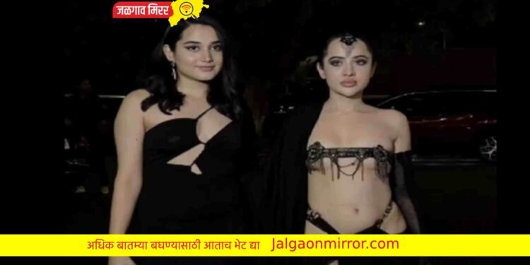 उर्फीपेक्षा तिची बहिण चार पाऊल पुढे ; जाणून घ्या कोण आहे ?