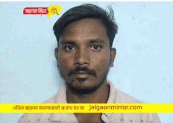 अट्टल दुचाकी चोरट्यास एलसीबीने घेतले ताब्यात !
