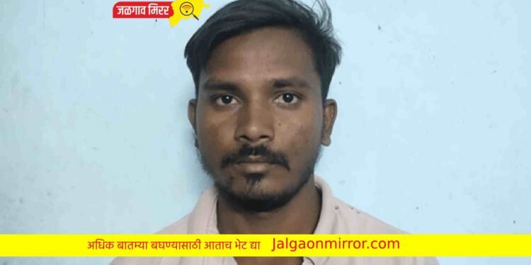 अट्टल दुचाकी चोरट्यास एलसीबीने घेतले ताब्यात !