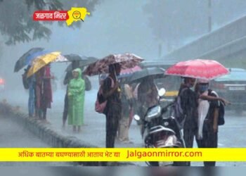 राज्यातील या भागात पुन्हा वादळी पावसाची शक्यता !