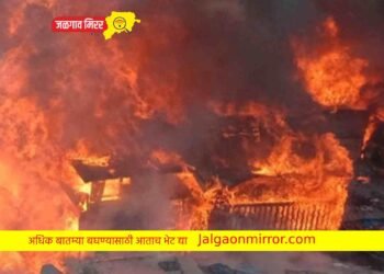 शॉर्टसर्कीटमुळे मक्याला आग ; शेतकरीचा लाखो रुपयाचा माल खाक !