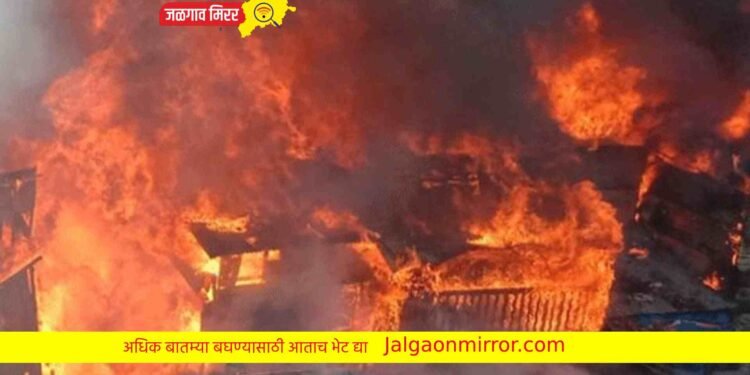 शॉर्टसर्कीटमुळे मक्याला आग ; शेतकरीचा लाखो रुपयाचा माल खाक !