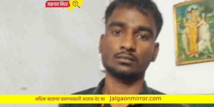 जळगावच्या आरोपीवर एमपीडीएची कारवाई !