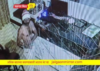 जळगावात हॉटेलमध्ये चोरट्याचा धुमाकूळ !
