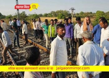 चाळीसगाव : ट्रेनच्या धडकेत गुराख्यासह १० जनावराचा मृत्यू !