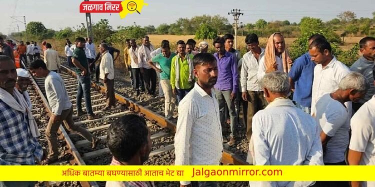 चाळीसगाव : ट्रेनच्या धडकेत गुराख्यासह १० जनावराचा मृत्यू !