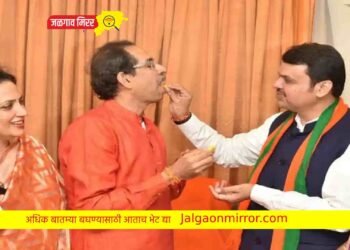 ठाकरे – फडणवीस एकत्र येणार का ? भाजप नेत्याचे मोठ वक्तव्य !