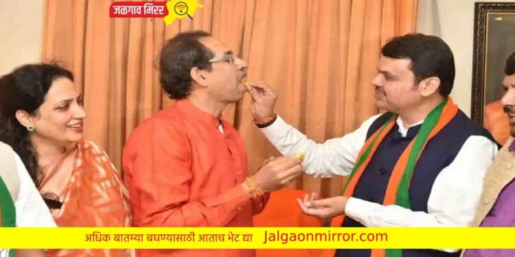 ठाकरे – फडणवीस एकत्र येणार का ? भाजप नेत्याचे मोठ वक्तव्य !