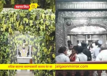 आश्चर्यम! पंढरपूरच्या विठ्ठल मंदिरातून एक टन द्राक्षे अर्ध्या तासात गायब !