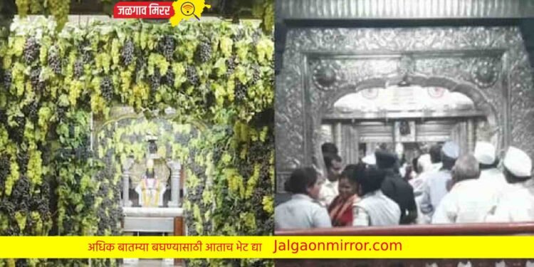 आश्चर्यम! पंढरपूरच्या विठ्ठल मंदिरातून एक टन द्राक्षे अर्ध्या तासात गायब !