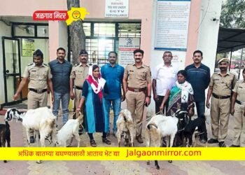 बकऱ्या चोरी करणाऱ्या महिलांना पोलिसांनी ठोकल्या बेड्या !