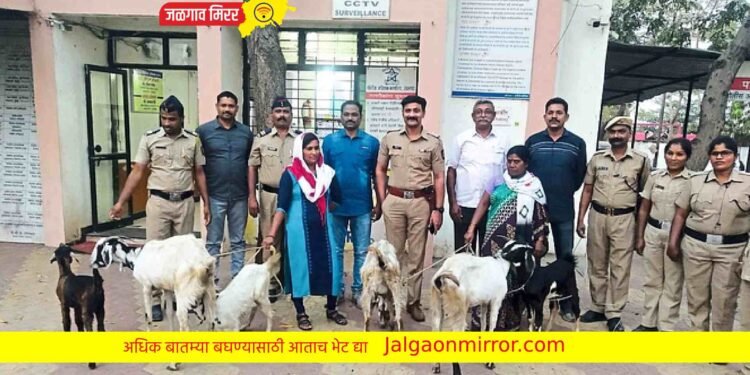 बकऱ्या चोरी करणाऱ्या महिलांना पोलिसांनी ठोकल्या बेड्या !