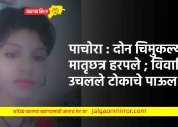 पाचोरा : दोन चिमुकल्यांचे मातृछत्र हरपले ; विवाहितेने उचलले टोकाचे पाऊल !