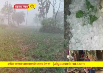 राज्यातील या भागात आज गारपीट होण्याचा इशारा !