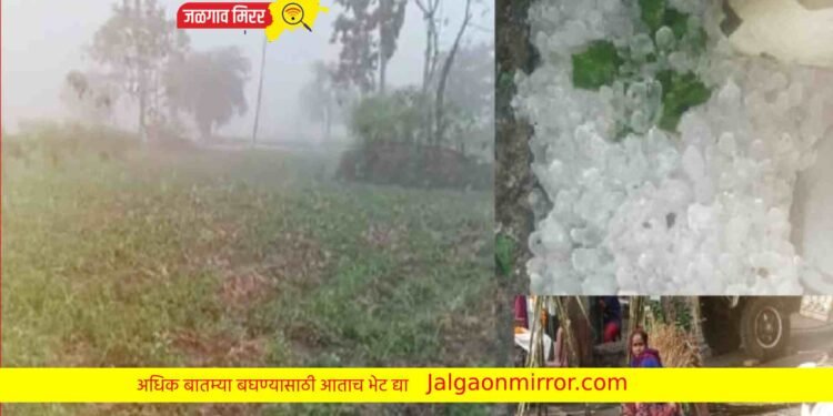 राज्यातील या भागात आज गारपीट होण्याचा इशारा !