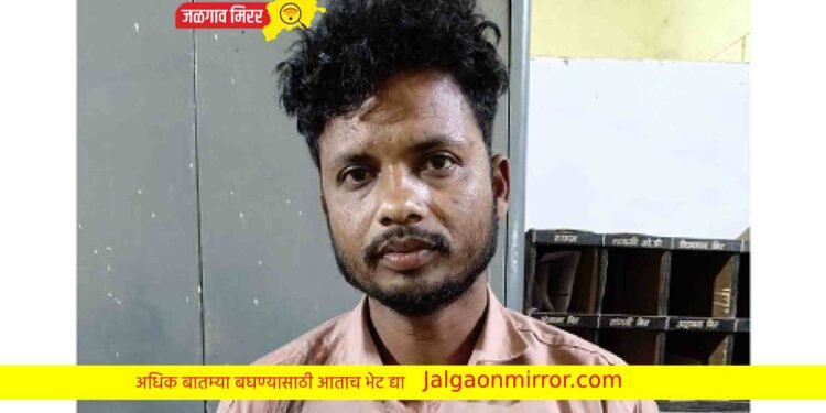 वृद्धेचा खुनाचा उलगडा ; महिलेसह एक ताब्यात !