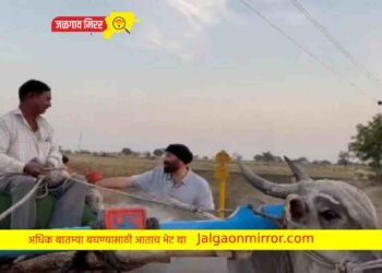 शेताच्या बांधावर बळीराजाला भेटला सनी देओल अन मग !