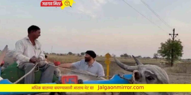 शेताच्या बांधावर बळीराजाला भेटला सनी देओल अन मग !