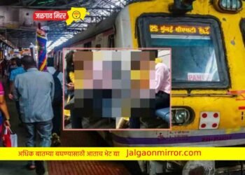 लव्ह बर्डला आली लहर ; लोकलमध्ये केला कहर !