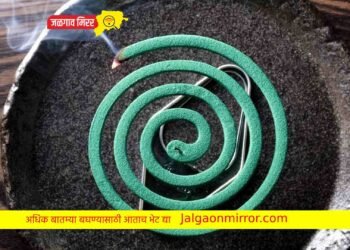 डास मारण्याची कॉईल पेटवून कुटुंब झोपले अन घडले ते धक्कादायक !