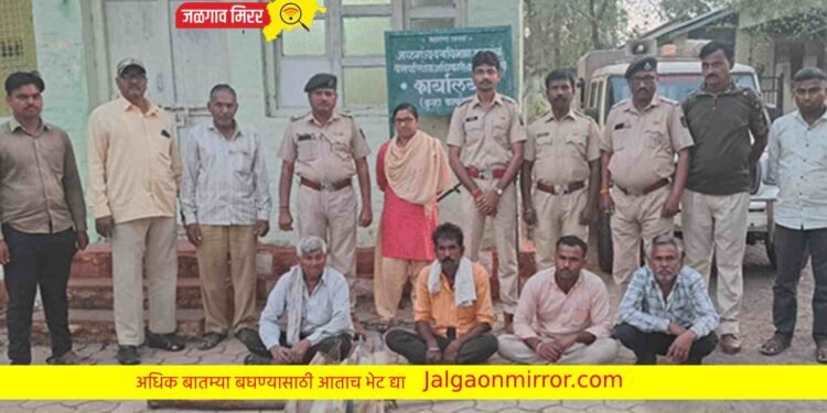 जिल्ह्यात सायाळची शिकार करून मटण पार्टीचा बेत फसला