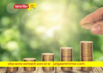 कमी गुंतवणुकीत सात पट मिळणार रिटर्न !