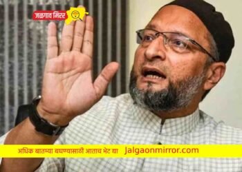 ओवैसी योगी सरकारवर संतापले ; तुम्ही गिधाडं आहात !