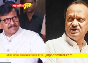 महाविकास आघाडीत पडली वादाची ठिणगी : पवार व राऊतांमध्ये जुंपली !