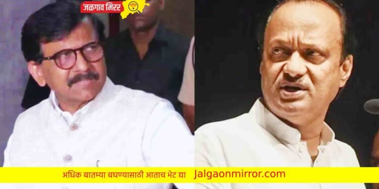 महाविकास आघाडीत पडली वादाची ठिणगी : पवार व राऊतांमध्ये जुंपली !