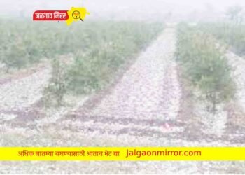 राज्यातील या जिल्ह्यात अवकाळी पावसासह गारपिटीचा अंदाज !