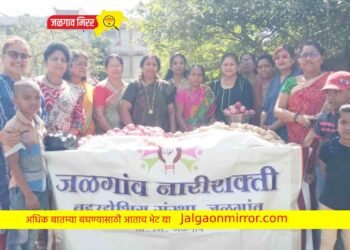 अक्षय तृतीयेच्या मुहूर्तावर नारीशक्तीने महिलेला निर्माण करून दिला उद्योग !