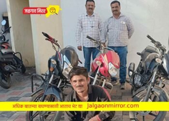 अट्टल दुचाकी चोरट्यास एलसीबीने घेतले ताब्यात !