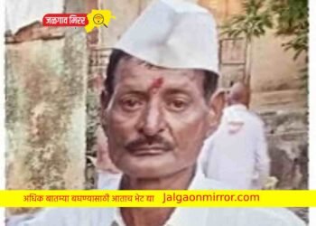 भरधाव चारचाकीने वृद्धाला उडवले !