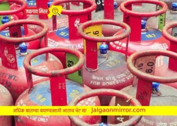 आर्थिक वर्षाच्या पहिल्याच दिवशी LPG सिलिंडरच्या किंमती कमी !