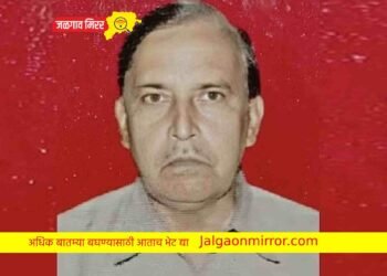 भरधाव कारच्या धडकेत वृद्ध जागीच ठार !
