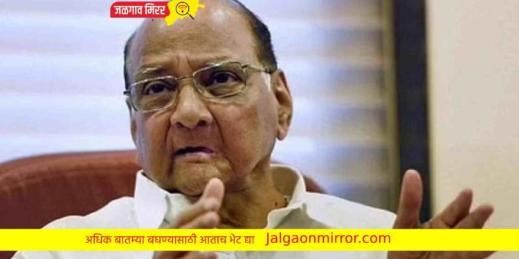 राष्ट्रवादीचे दिग्गज नेत्यासह ७ आमदार नॉट रिचेबल ; राज्यात चर्चा सुरु !