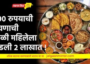 ४०० रुपयाची जेवणाची थाळी महिलेला पडली २ लाखात !