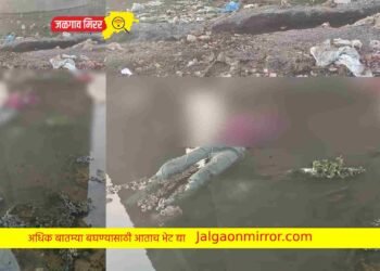 गिरणा पुलावर तरुणाने घेतला टोकाचा निर्णय !