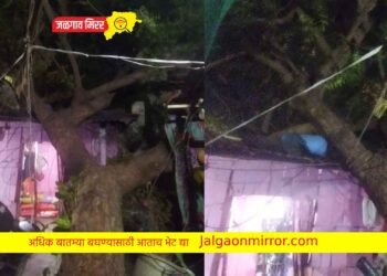 जळगावात वारा वादळाने घरावर पडले झाड !
