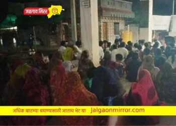 वसंतवाडी तांडा गावात विश्व बंजारा दिवस उत्साहात