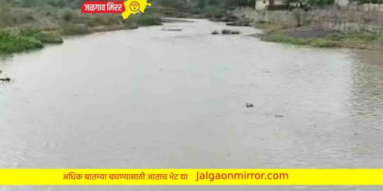 तापलेल्या उन्हात जिल्ह्यातील या नदीला आला पूर !
