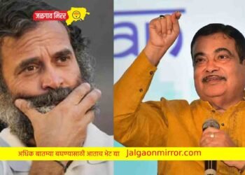 मंत्री गडकरींनी मानले राहुल गांधींचे आभार ; तुमच्यामुळे आज…