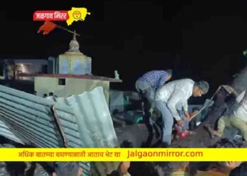 अकोल्यात मंदिरावर कोसळले झाड ; ७ जणांचा दुर्दैवी मृत्यू !