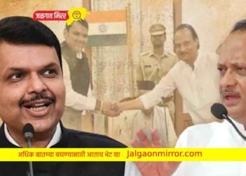 पवार भाजप सोबत जाणार ; नव्या दाव्याने राज्यात खळबळ !