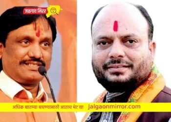 दगड मारण्याची भाषा केल्यास लक्षात ठेवा ; जळगावात दानवे संतापले !