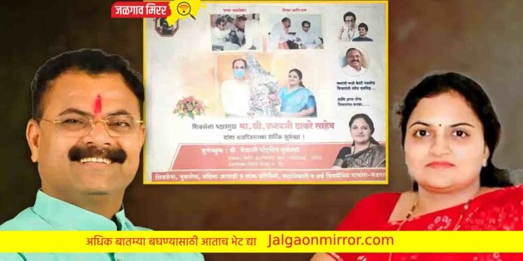 मुंडे भाऊ बहिणीनंतर जिल्ह्यातील भाऊ बहिणीत होणार मोठी लढत !