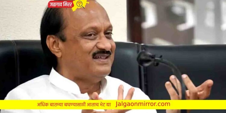 राजकीय चर्चेनंतर अजित पवारांचे भाष्य ; चर्चा थांबल्या !