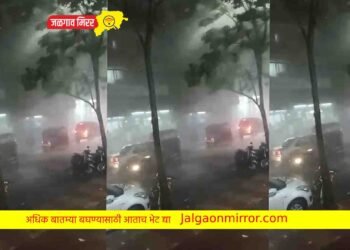 राज्यातील या जिल्ह्याला वादळी पावसाने झोडपले !