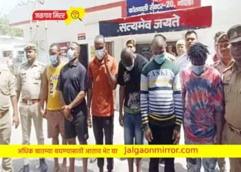 देशातील ७०० महिलांना ६ नायजेरियन युवकांनी पाडले प्रेमात अन…