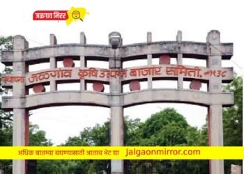 जळगाव बाजार समितीत महाविकास आघाडीचा डंका !